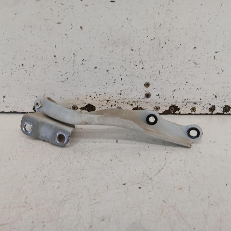 bonnet hinge/strut