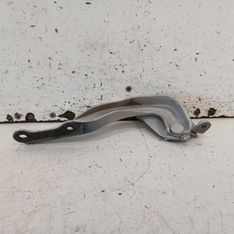 bonnet hinge/strut