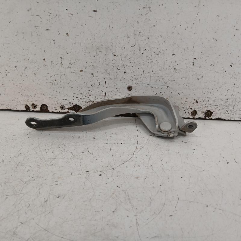 bonnet hinge/strut