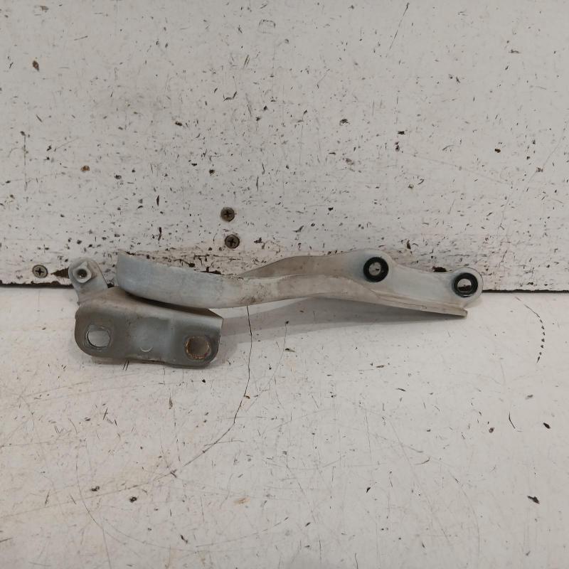 bonnet hinge/strut