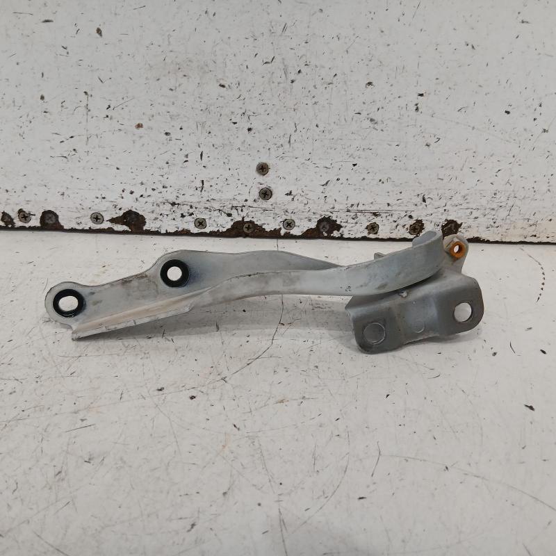 bonnet hinge/strut