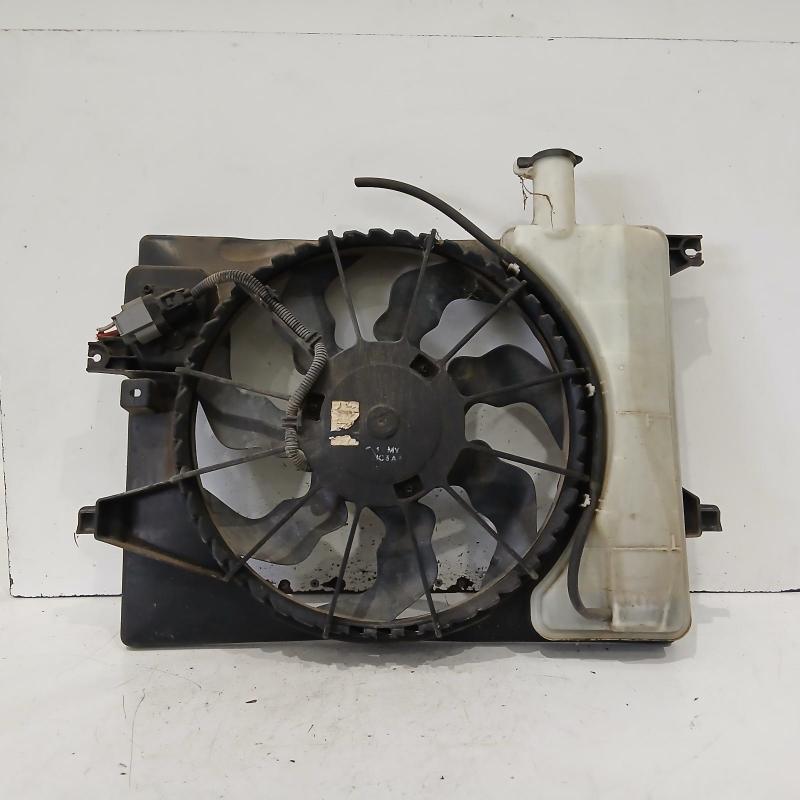 fan