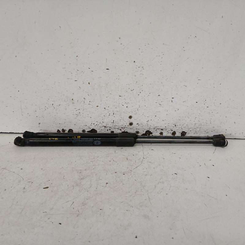 hatch strut