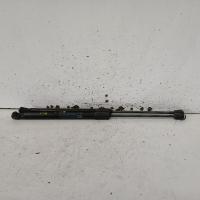 hatch strut