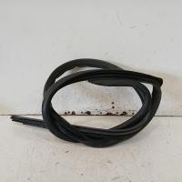 body seal ruber