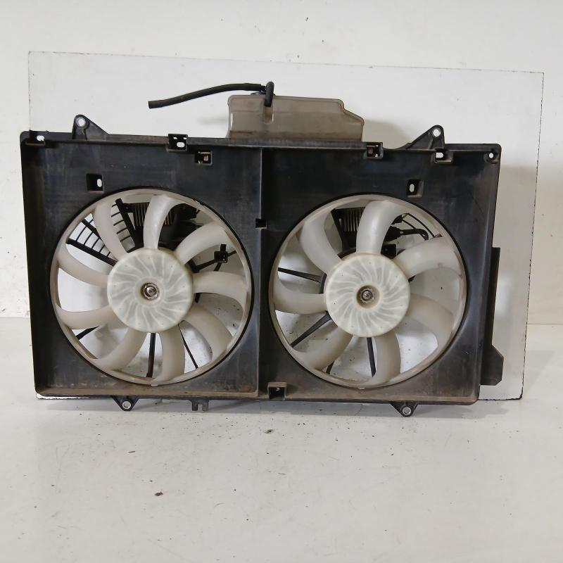 fan