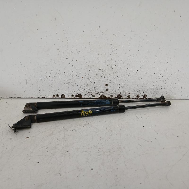 hatch strut