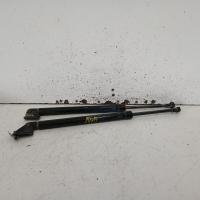 hatch strut