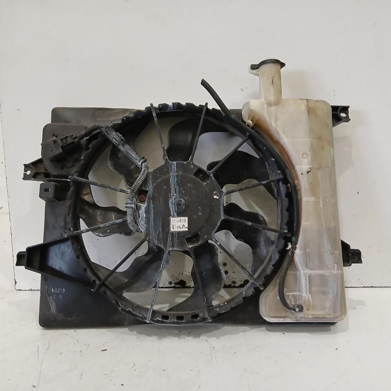 fan