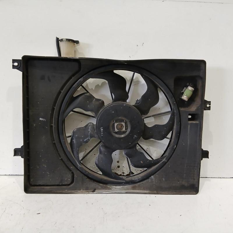fan