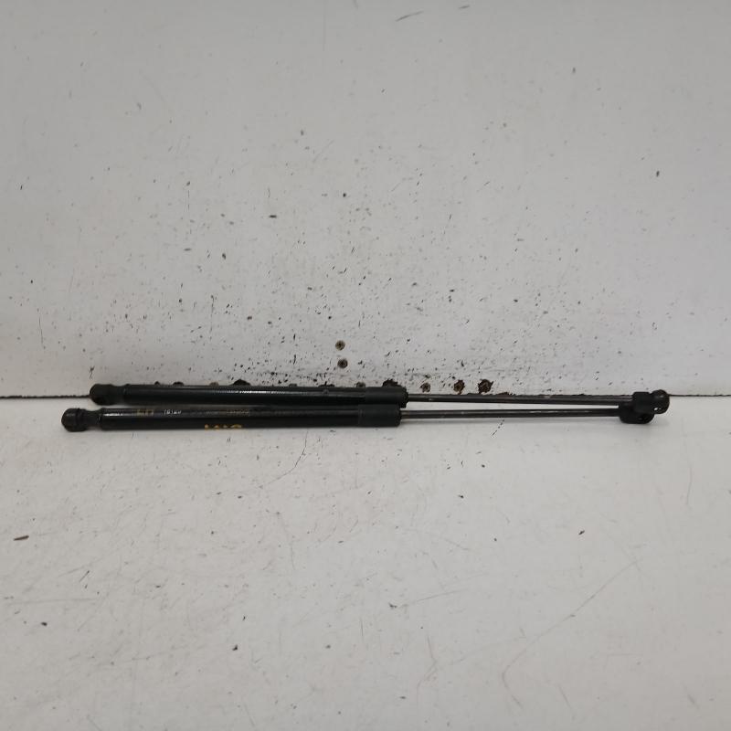hatch strut