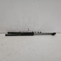 hatch strut