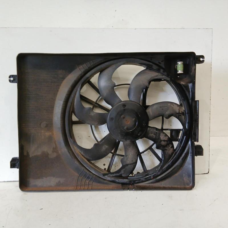 fan