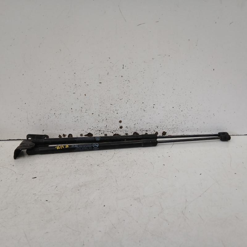 hatch strut