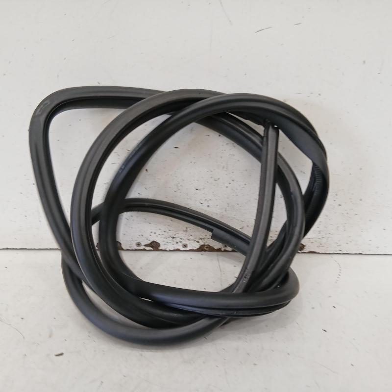 body seal ruber