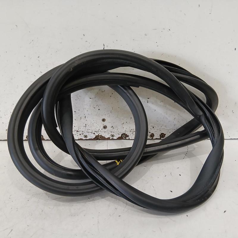 body seal ruber
