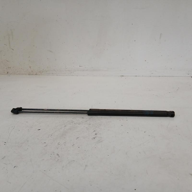 bonnet hinge/strut