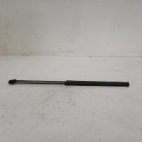 bonnet hinge/strut