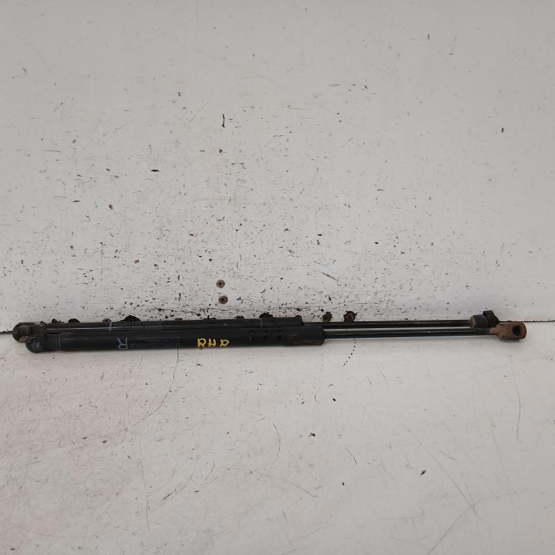 hatch strut