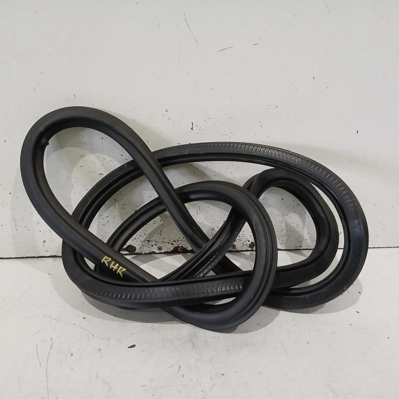 body seal ruber