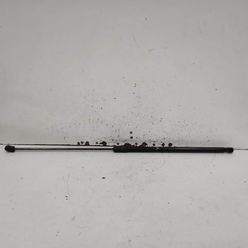 bonnet hinge/strut
