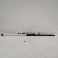 bonnet hinge/strut