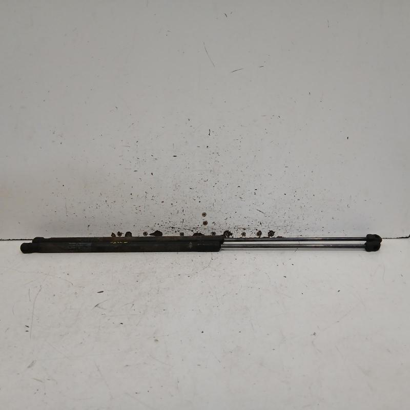 bonnet hinge/strut