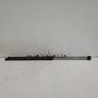 bonnet hinge/strut