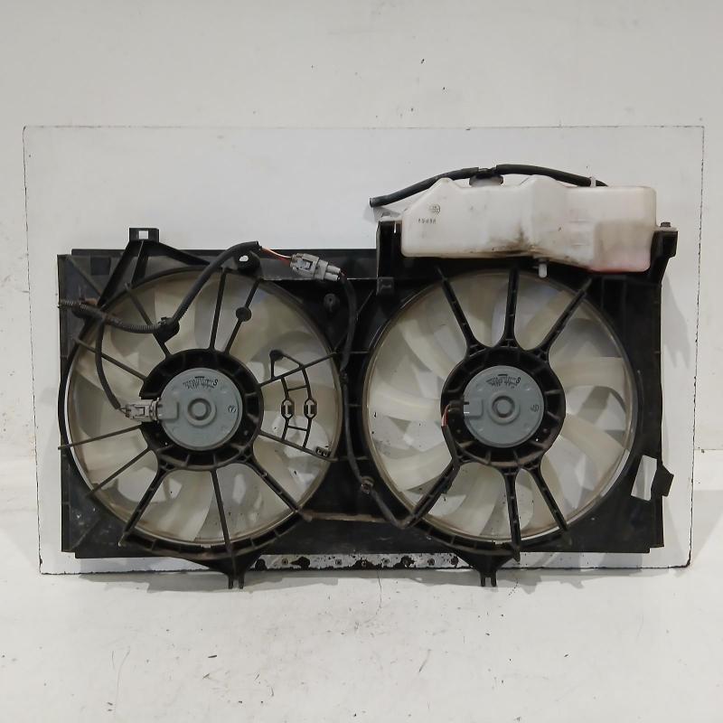 fan
