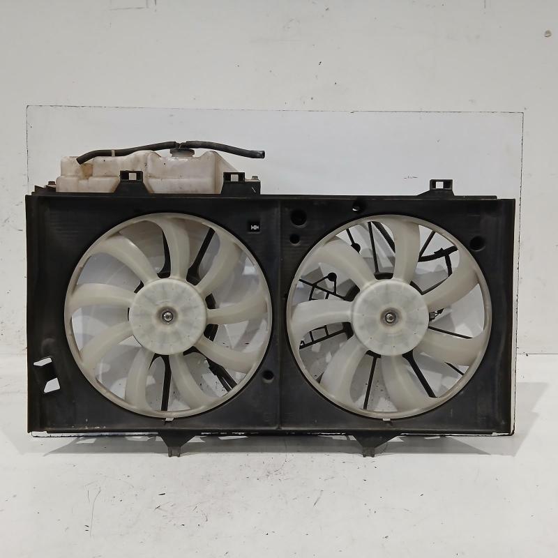 fan