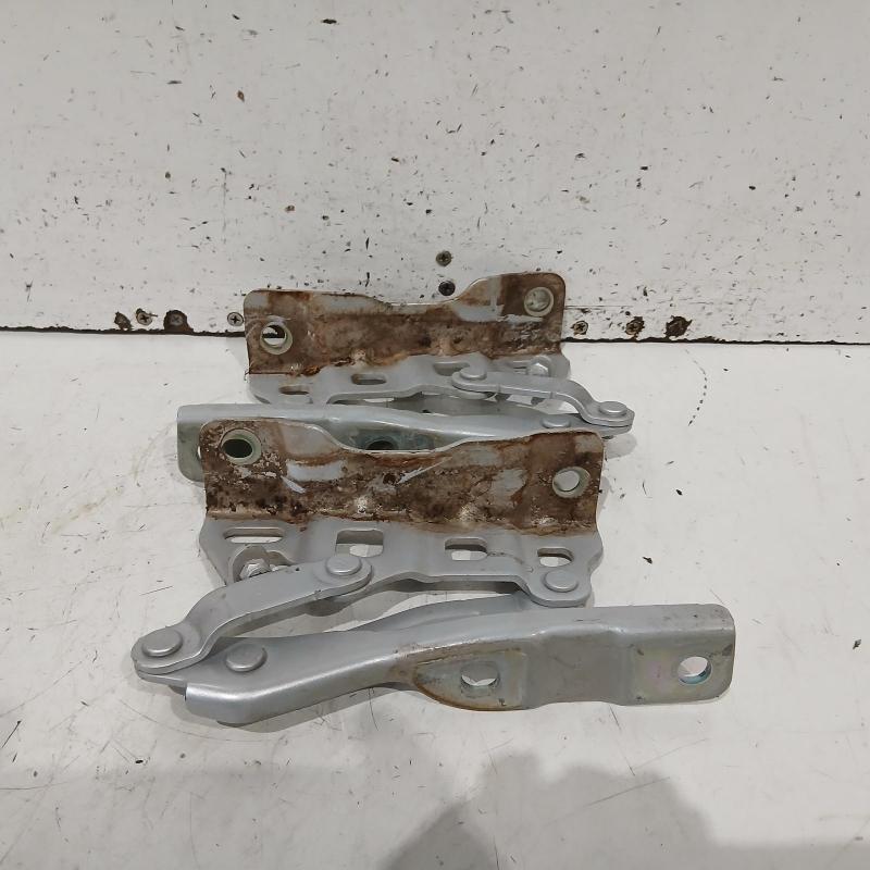 bonnet hinge/strut