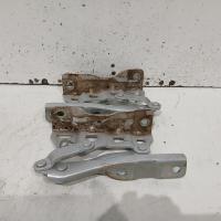 bonnet hinge/strut