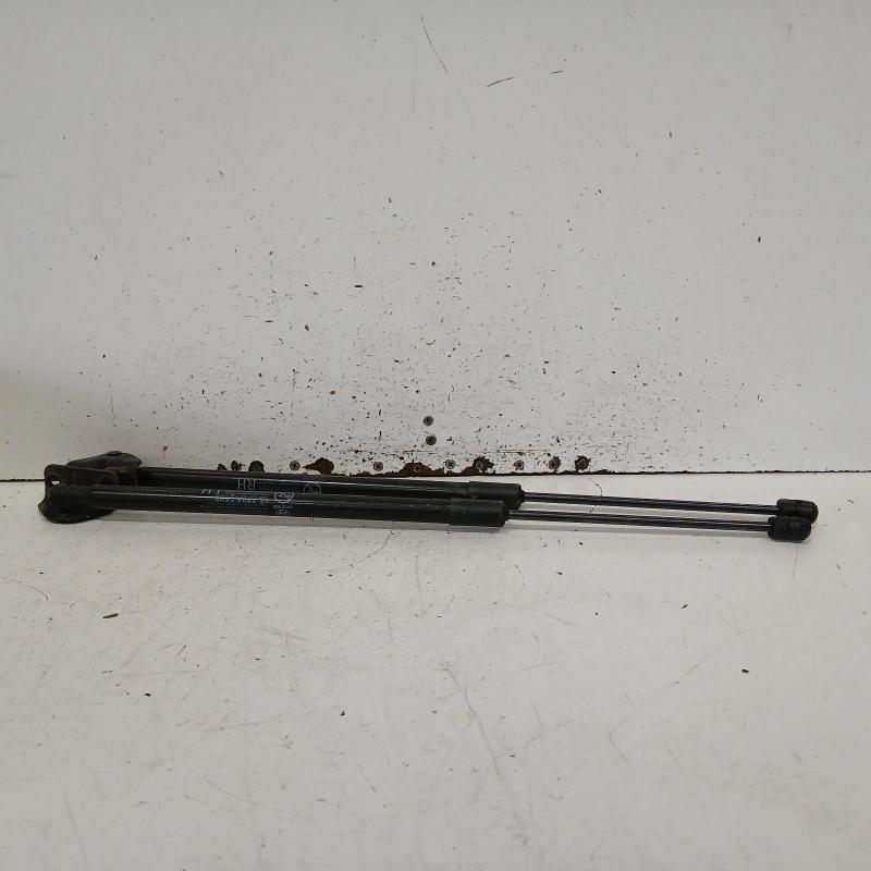 hatch strut