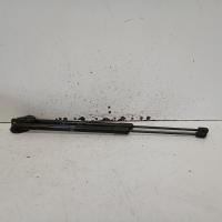 hatch strut