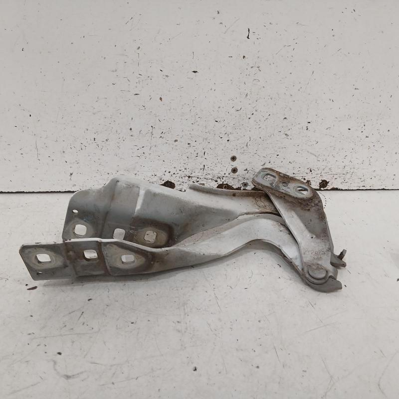 bonnet hinge/strut