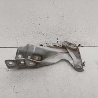 bonnet hinge/strut