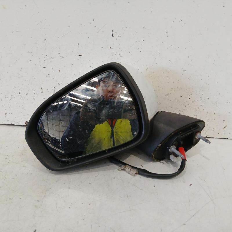 door mirror left