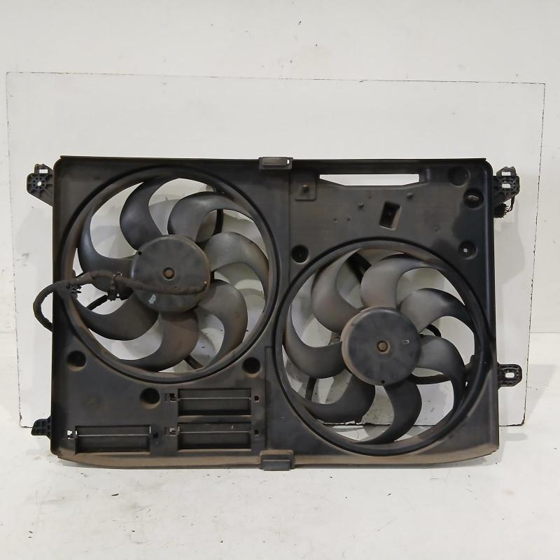 fan