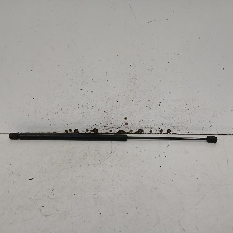 hatch strut