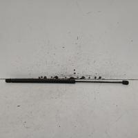 hatch strut