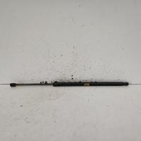 hatch strut