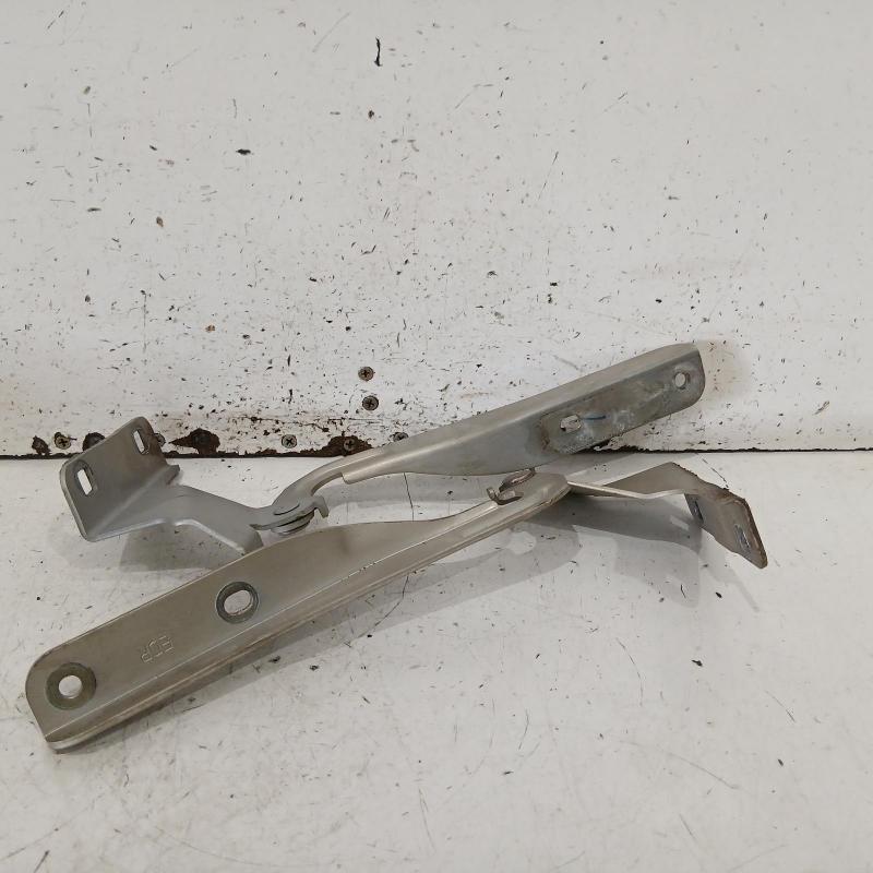 bonnet hinge/strut
