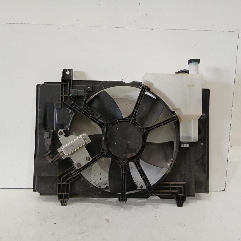 fan