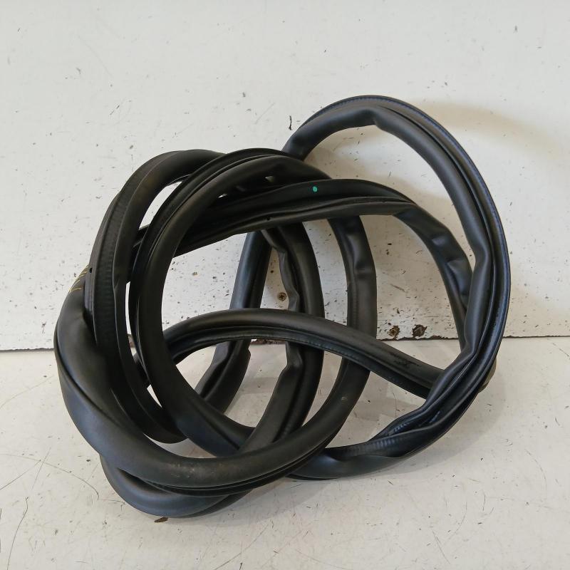 body seal ruber
