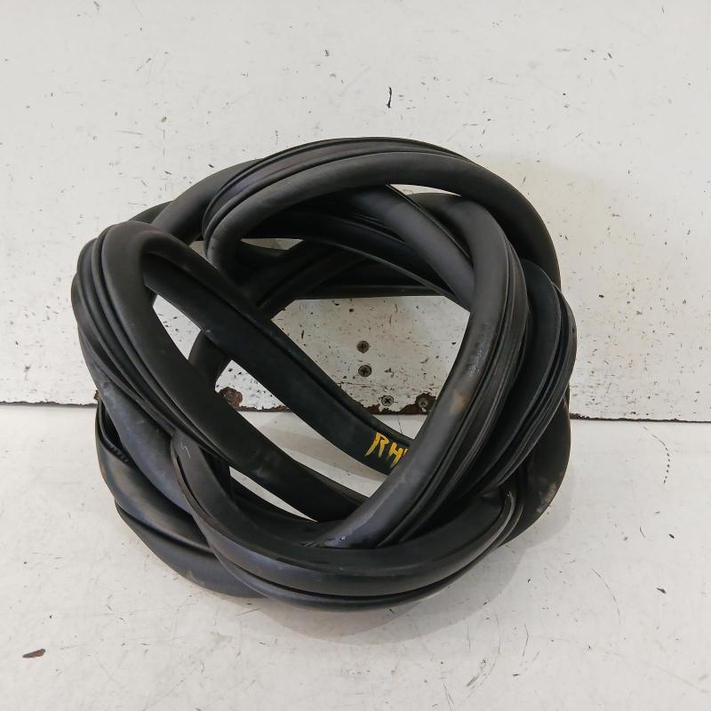 body seal ruber