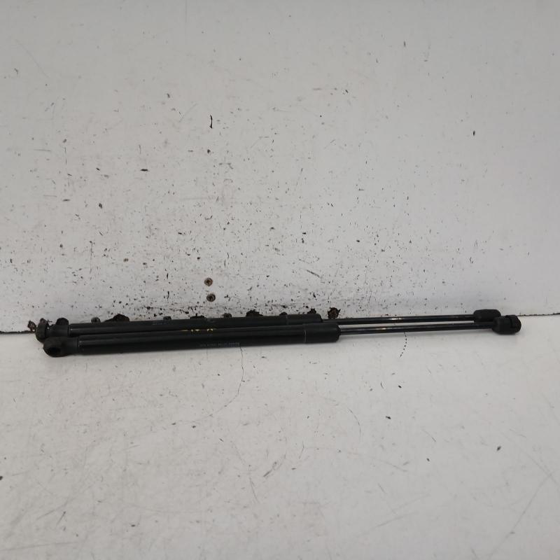 hatch strut