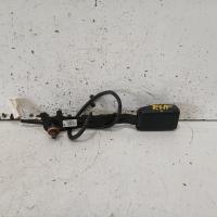 seat belt stalk