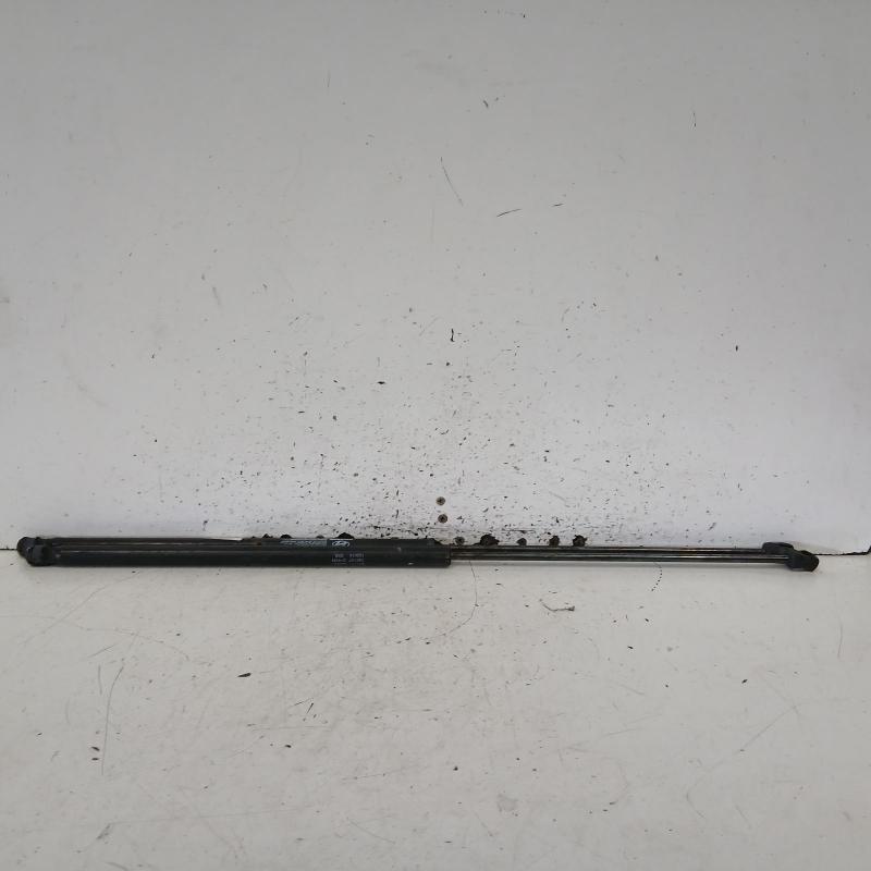 bonnet hinge/strut