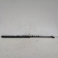 bonnet hinge/strut