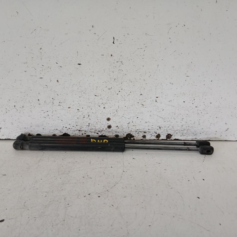 hatch strut